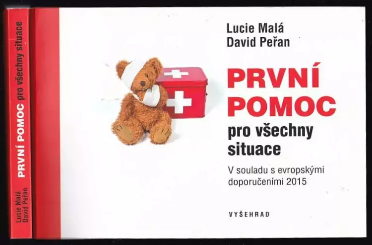 Must-Have První pomoc pro všechny situace : v souladu s evropskými doporučeními 2015