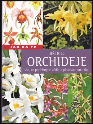 Orchideje Objednat Nyní