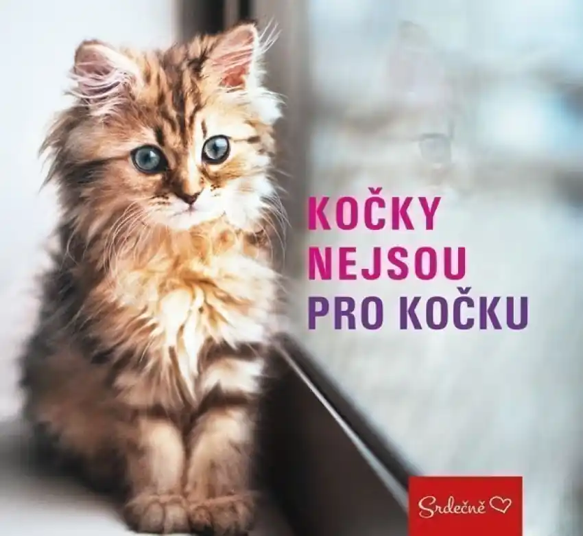 Kočky nejsou pro kočku Akce