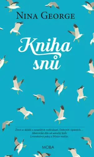Nakupujte Hned Kniha snů