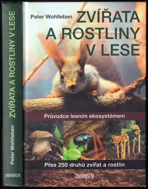 Nejlepší Volba Zvířata a rostliny v lese : průvodce lesním ekosystémem : přes 250 druhů zvířat a rostlin