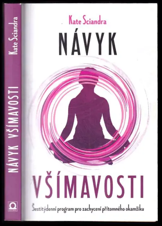 Cenový Hit Návyk všímavosti : šestitýdenní program pro zachycení přítomného okamžiku