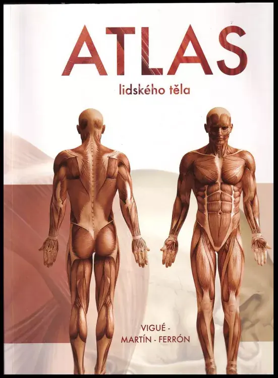 Oblíbený Atlas lidského těla