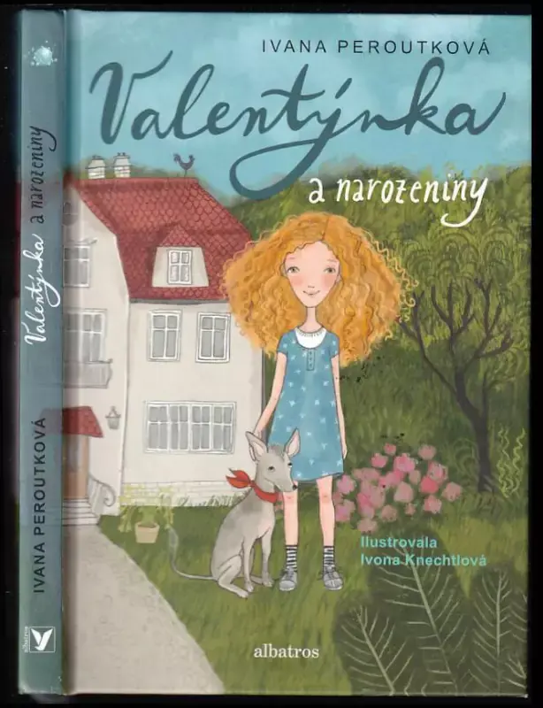 Super Cena Valentýnka a narozeniny