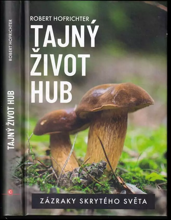 Novinka Tajný život hub : zázraky skrytého světa