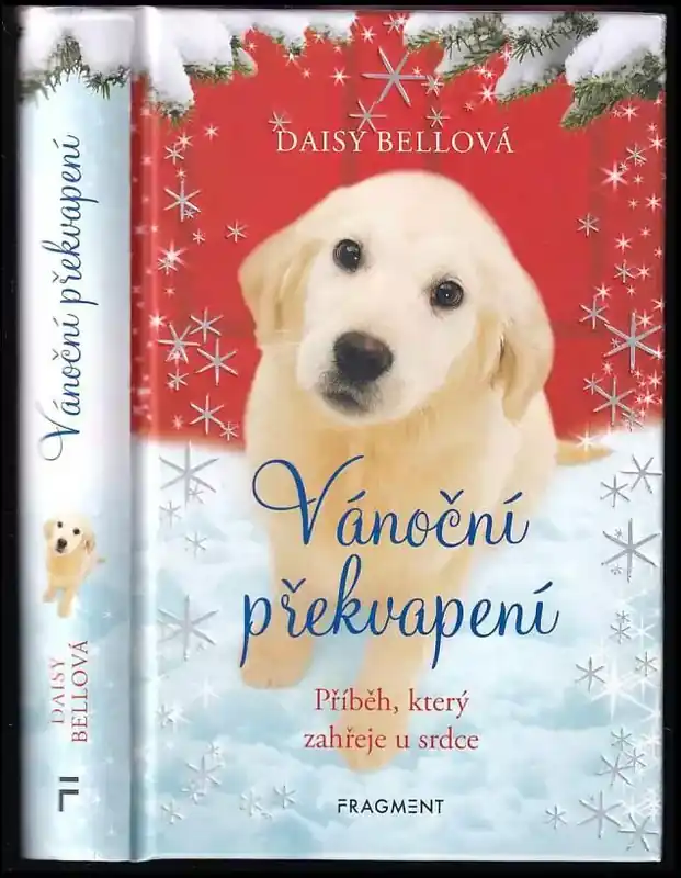 Levný Vánoční překvapení : příběh, který zahřeje u srdce