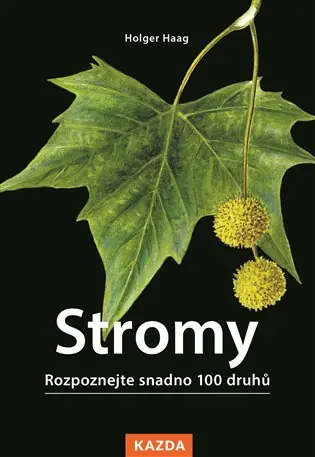 Vysoce Kvalitní Stromy: Rozpoznejte snadno 100 druhů
