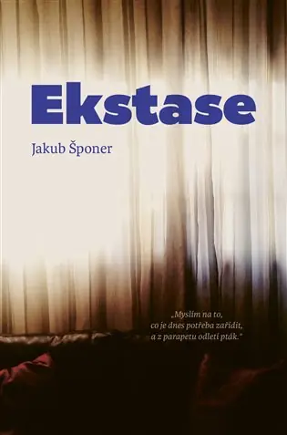 Cenová Bomba Ekstase