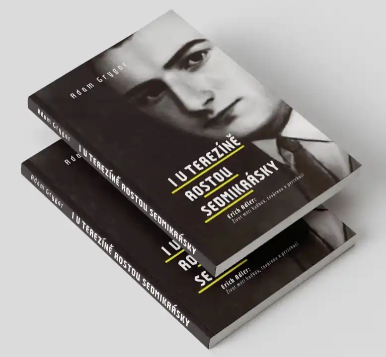 Tovární Cena I v Terezíně rostou sedmikrásky