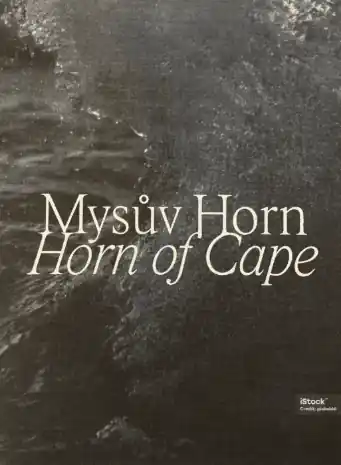 Přímo Od Výrobce Mysův Horn