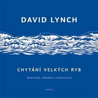 Chytání velkých ryb Expresní Doručení