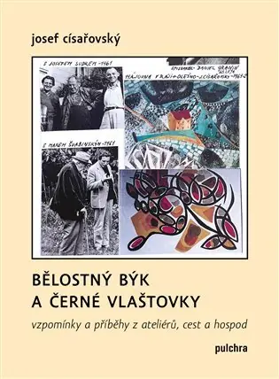 Nejlepší Volba Bělostný býk a černé vlaštovky