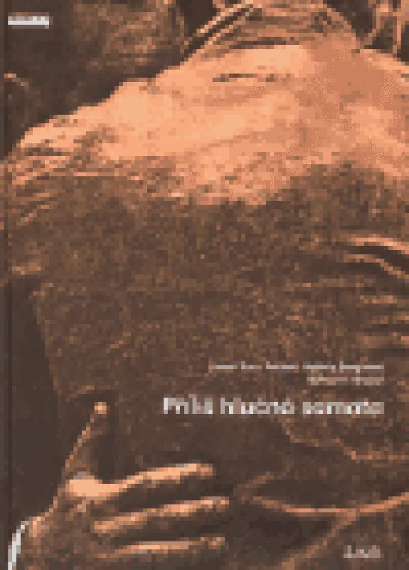 Příliš hlučná samota - komiks Nejprodávanější