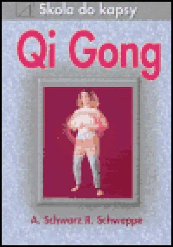 Rychlé Dodání Qi Gong - škola do kapsy