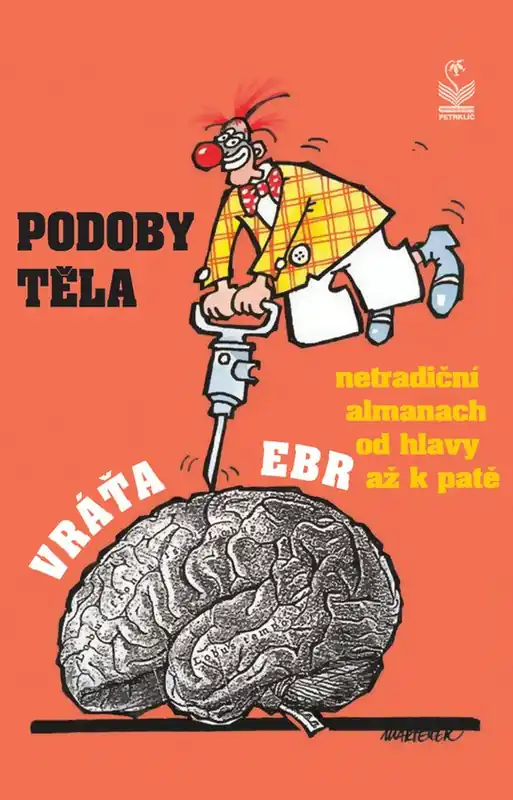 Podoby těla Jen Po Omezenou Doba