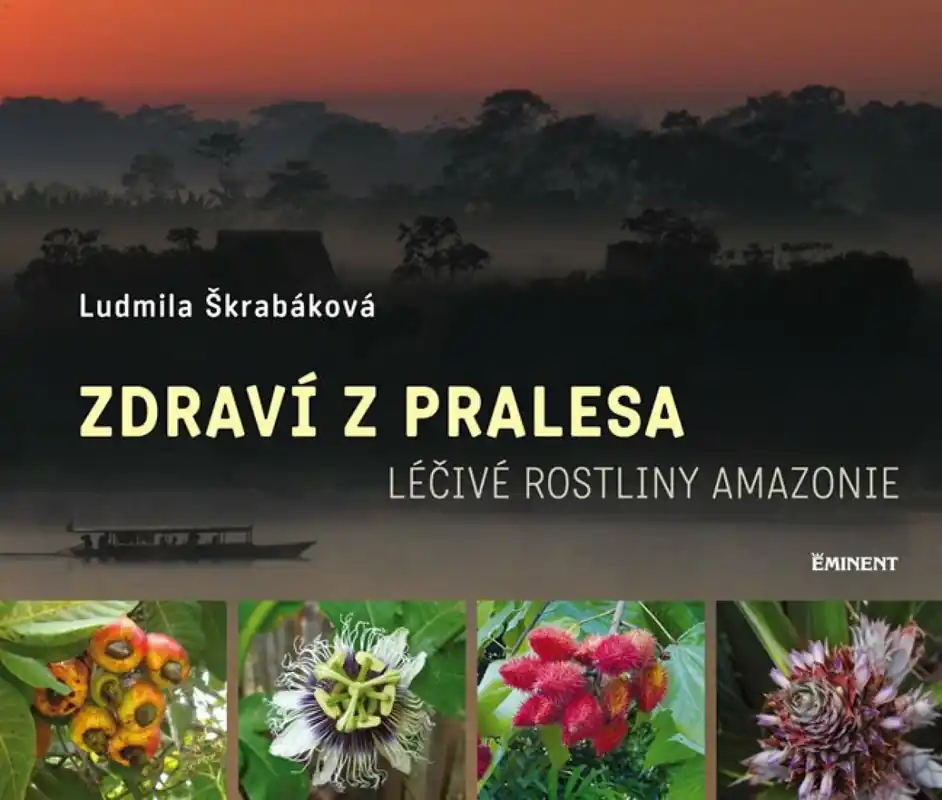 Zdraví z pralesa Omezená Nabídka