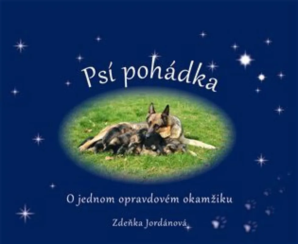 Pouze Dnes Psí pohádka o opravdovém okamžiku