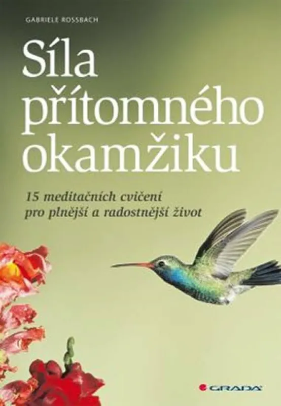 Sleva Síla přítomného okamžiku - 15 meditačních cvičení pro plnější a radostnější život
