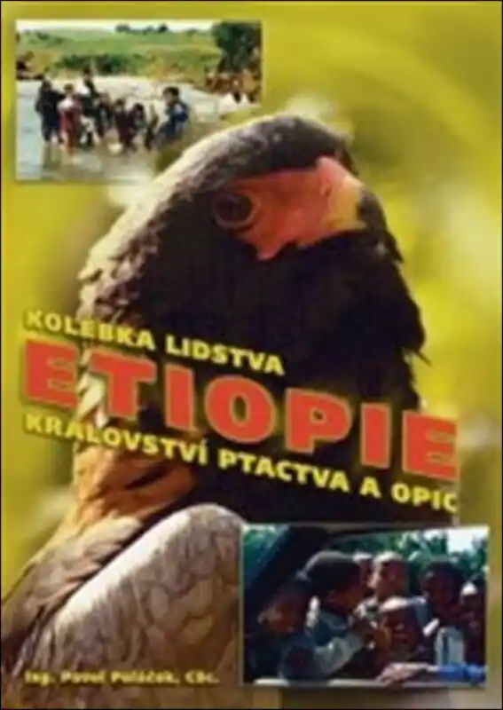 Etiopie – Kolébka lidstva, království ptactva a opic Novinka